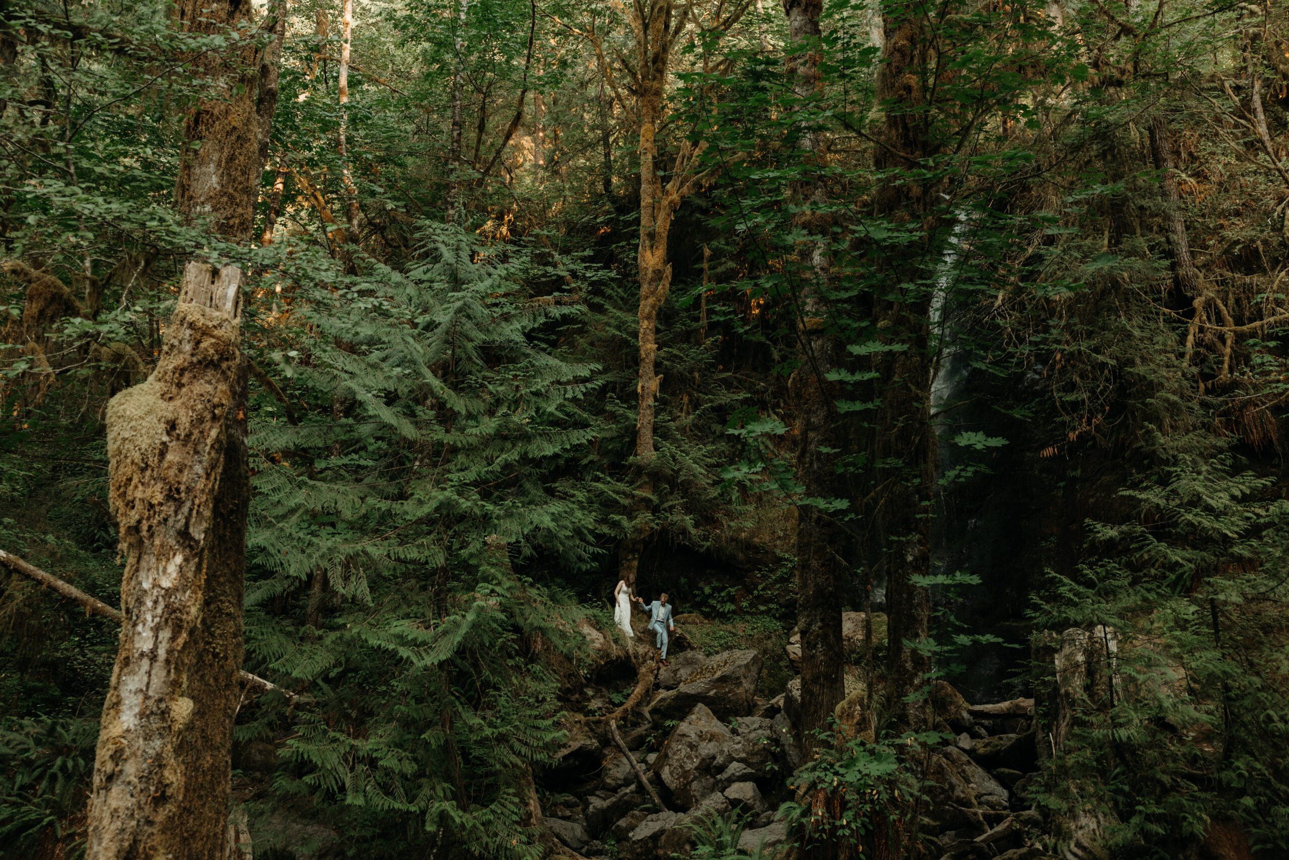 Elopement couple exploring the Olympic National Park rainforest at Merrimen Falls